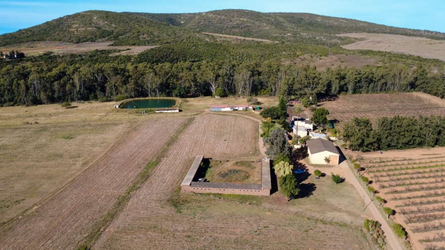 4 Bedroom Property for Sale in Kruisrivier Eastern Cape
